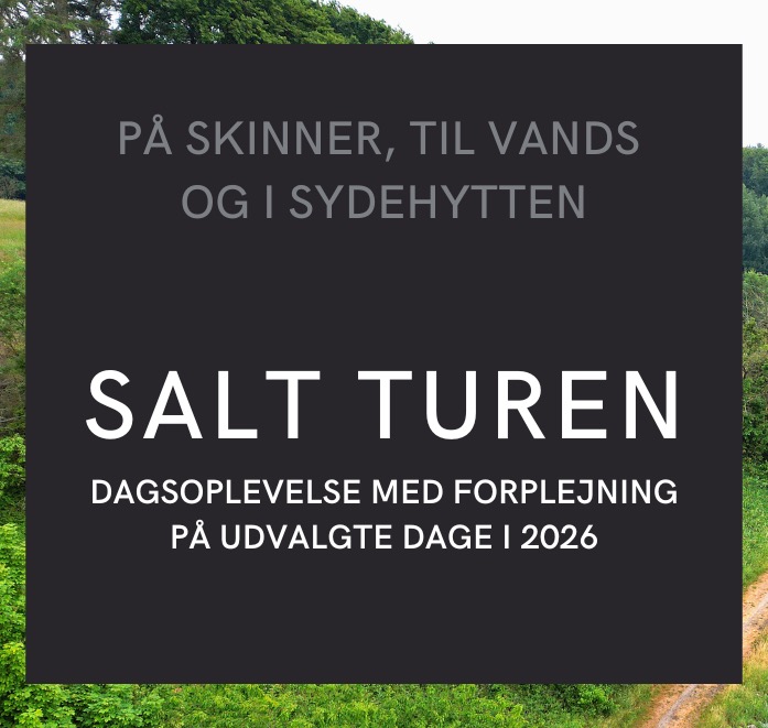Saltturen